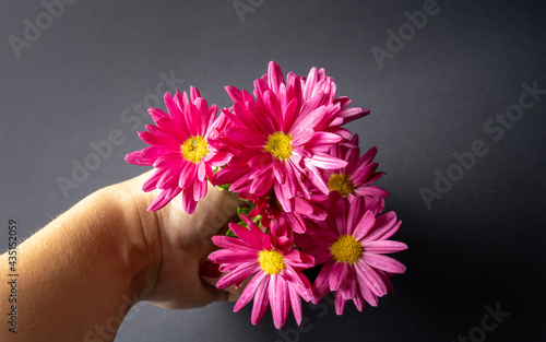 Flowers held by the hands of a white woman, with yellow medium in detail on a dark black background with light from left to right.
