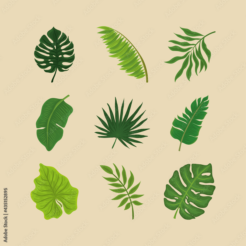 tropical exotic leaves tropical exotic leaves