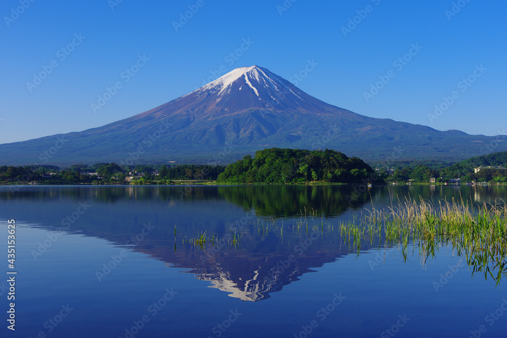 Mt. Fuji with clear blue sky from Oishi Park in Lake Kawaguchi Japan 05/23/2021 Mt. Fuji with clear blue sky from Oishi Park in Lake Kawaguchi Japan 05/23/2021