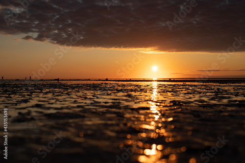 sunset on the beach © MACRO BLOOMS