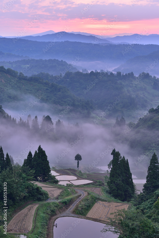 里山の夜明け