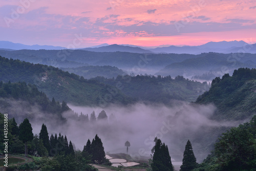 里山の夜明け