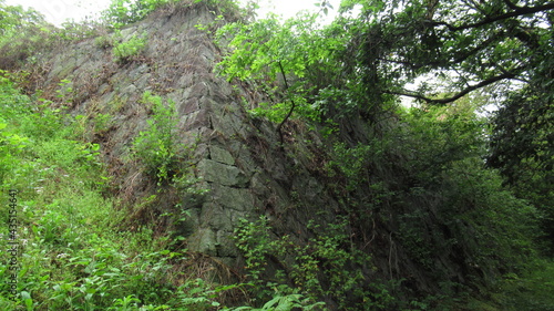 Stone wall covered with grass 