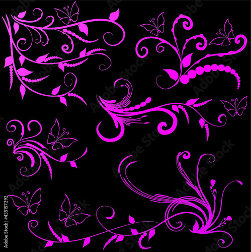 Calligraphic decorative elements with lines and butterfly design set