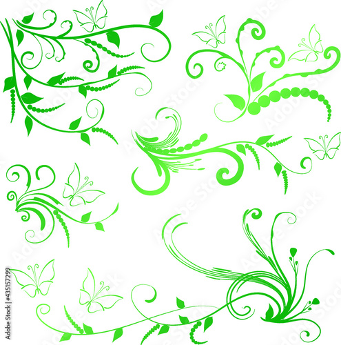 Calligraphic decorative elements with lines and butterfly design set