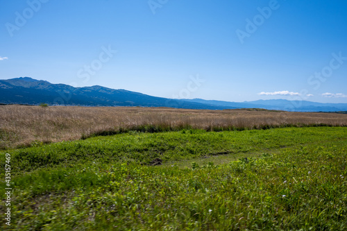 Pleasant blue sky and meadow