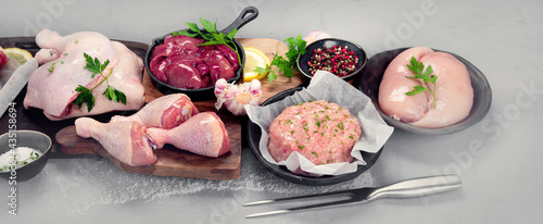 Raw chicken meat parts with spices and herbs for cooking on gray background.