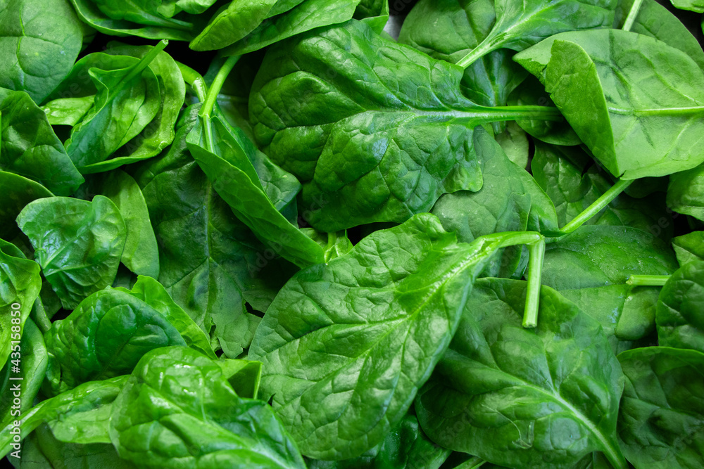 A close up of a pack of spinach