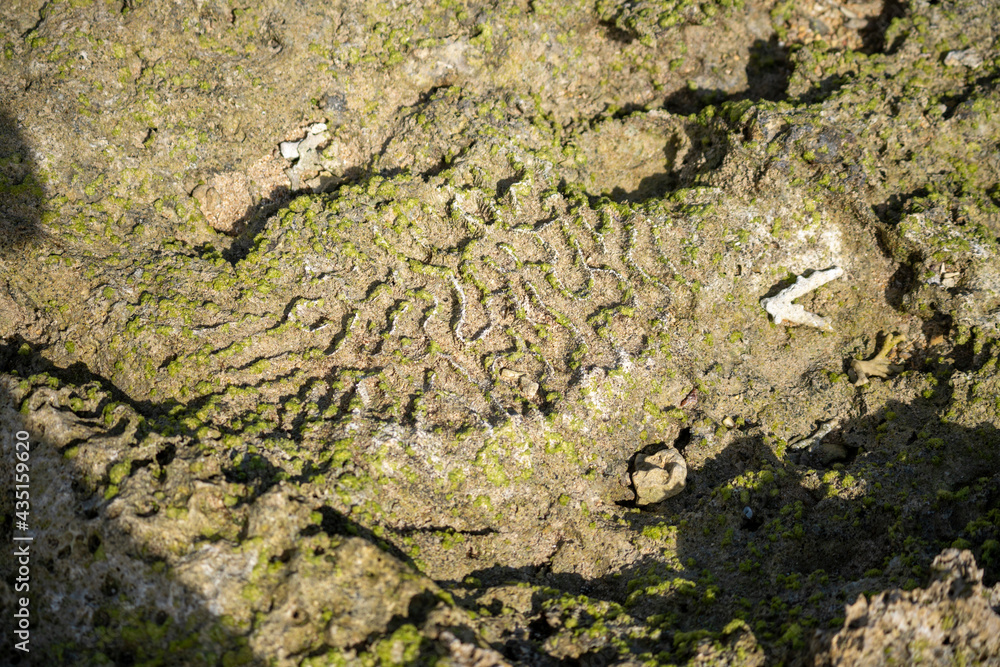 Obraz premium 沖縄 玻名城ビーチ