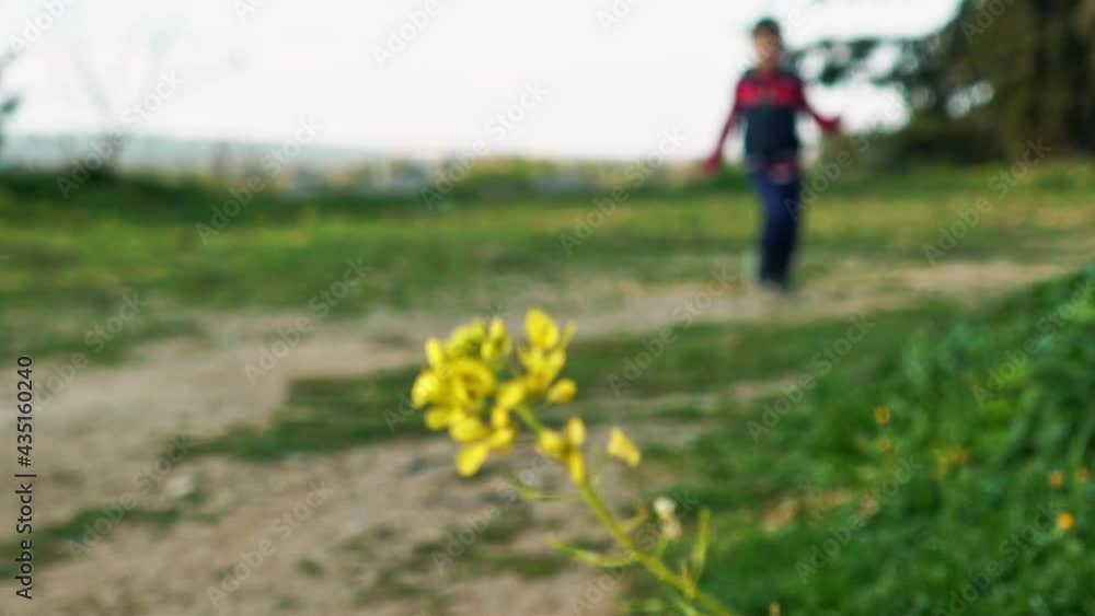 Medium shot of caucasian boy, running towards camera, enjoying the first days of spring. Focus rack from flower in the foreground to kid approaching the camera 120fps Medium shot of caucasian boy, running towards camera, enjoying the first days of spring. Focus rack from flower in the foreground to kid approaching the camera 120fps