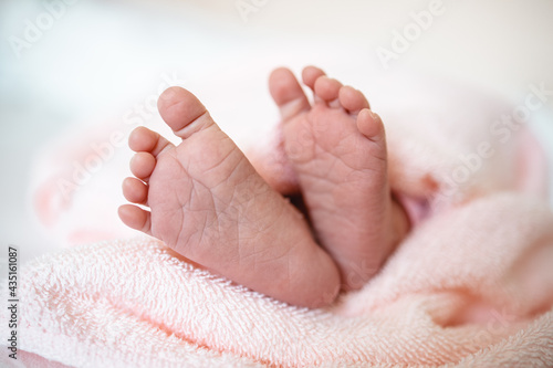 Baby girl's feet cover in a pink towel. Tiny Newborn Baby's feet closeup. Happy child concept. Beautiful conceptual image of Maternity