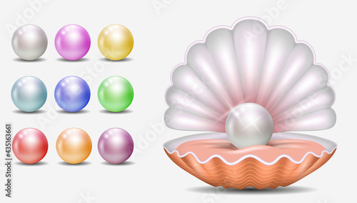 set of realistic shiny pearls or various color pearls inside sea shell or opened sea shell with soft mollusk. eps vector 