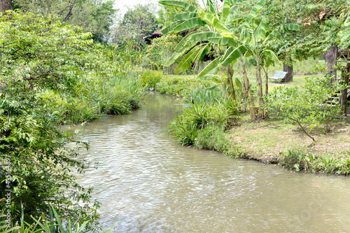 View of a small canal in Thailand. Thai culture and life style beside canal   wood home and many trees