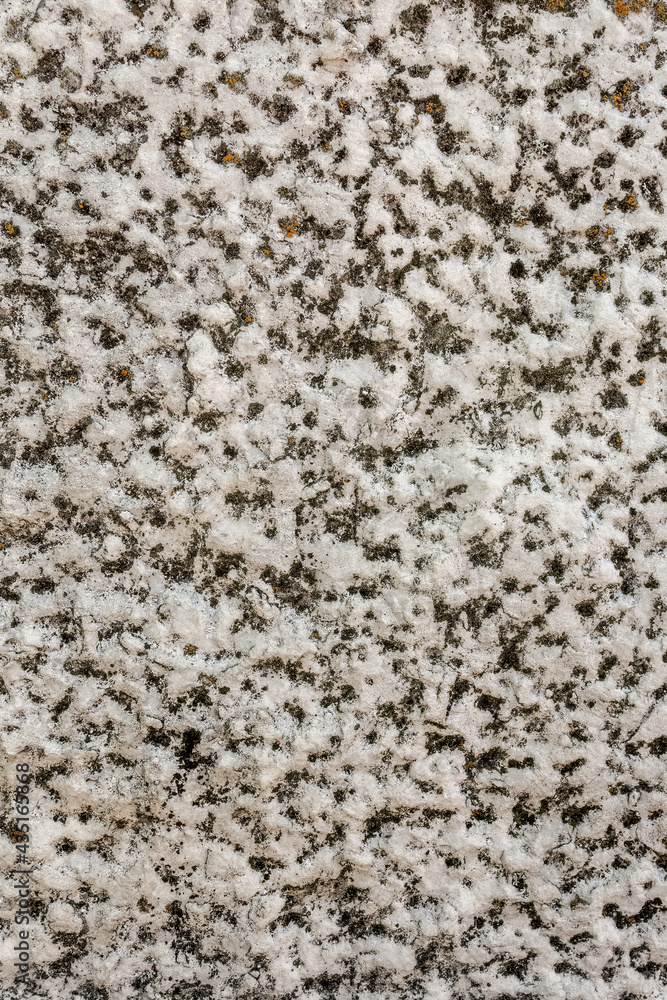 The rough structure of the stone is covered with mold. Natural background and texture of the stone. The rough structure of the stone is covered with mold. Natural background and texture of the stone.