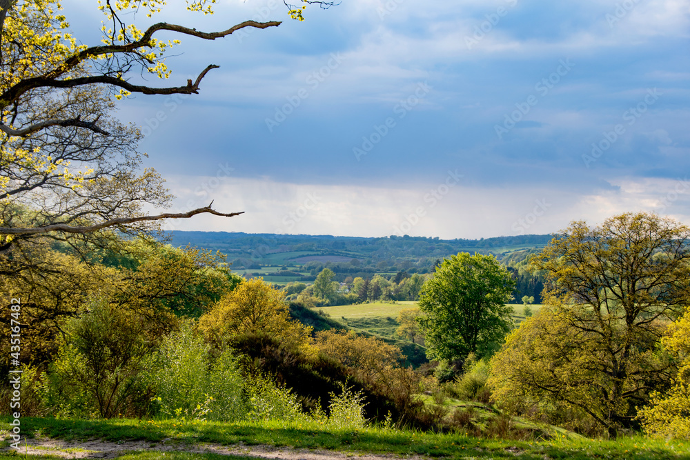 Landscapes and nature in Svanninge hills on south of Funen in Denmark. Landscapes and nature in Svanninge hills on south of Funen in Denmark.