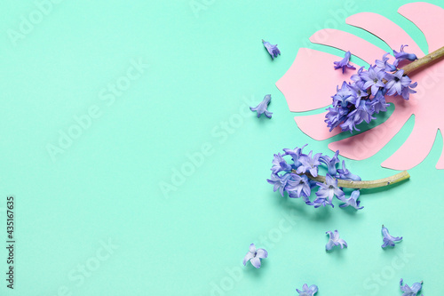 Fototapeta Naklejka Na Ścianę i Meble -  Beautiful hyacinth flowers on color background