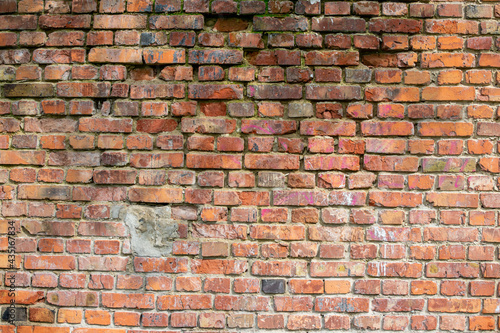 Old brickwork as a background.