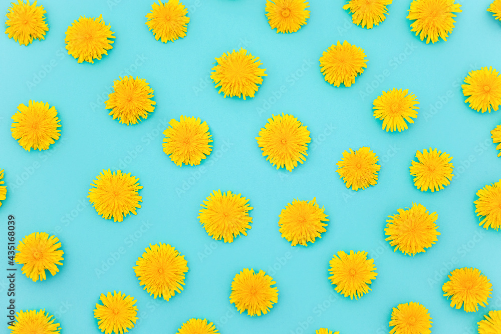 Pattern of of yellow dandelions on blue background, as a backdrop or texture. Spring, summer wallpaper for your design. Top view Flat lay Pattern of of yellow dandelions on blue background, as a backdrop or texture. Spring, summer wallpaper for your design. Top view Flat lay