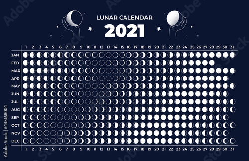 Moon calendar. Astrology 2021 lunar cycle. Celestial astronomy scheme. Phase change in different months of year. Organizer with silhouette or contour round signs. Vector annual schedule