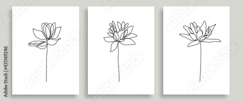 One Line Drawing Vector Flowers. Floral Modern Single Line Art, Aesthetic Contour. Perfect for Home Decor, Posters, Prints, Wall Art, Tote Bag, t-shirt, Sticker, Mobile Case. Flower Drawing .