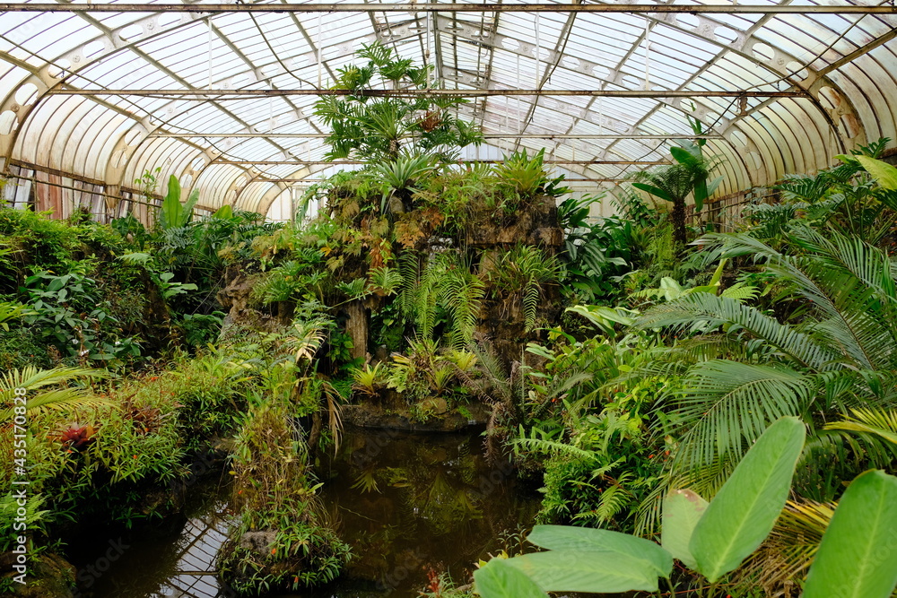 Brazil Sao Paulo - Greenhouse in Botanical garden