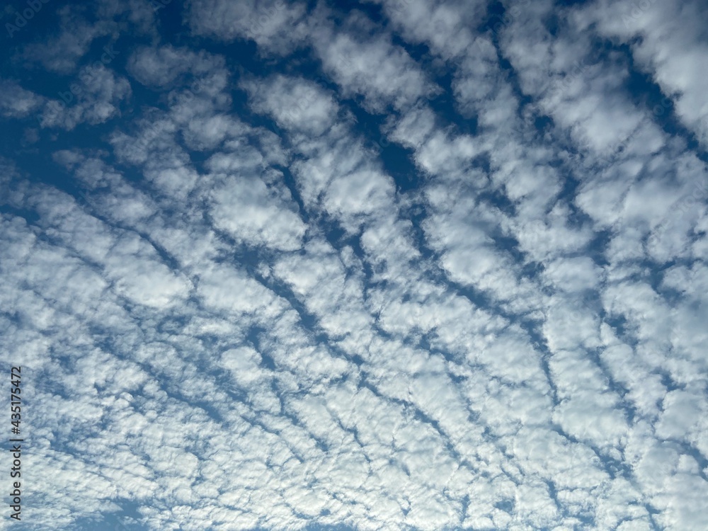 Fototapeta premium blue sky background