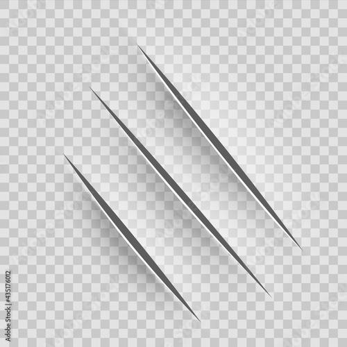 Traces of claws of wild animals. Realistic cut with a office knife on paper sheet. Claws animal scratches.