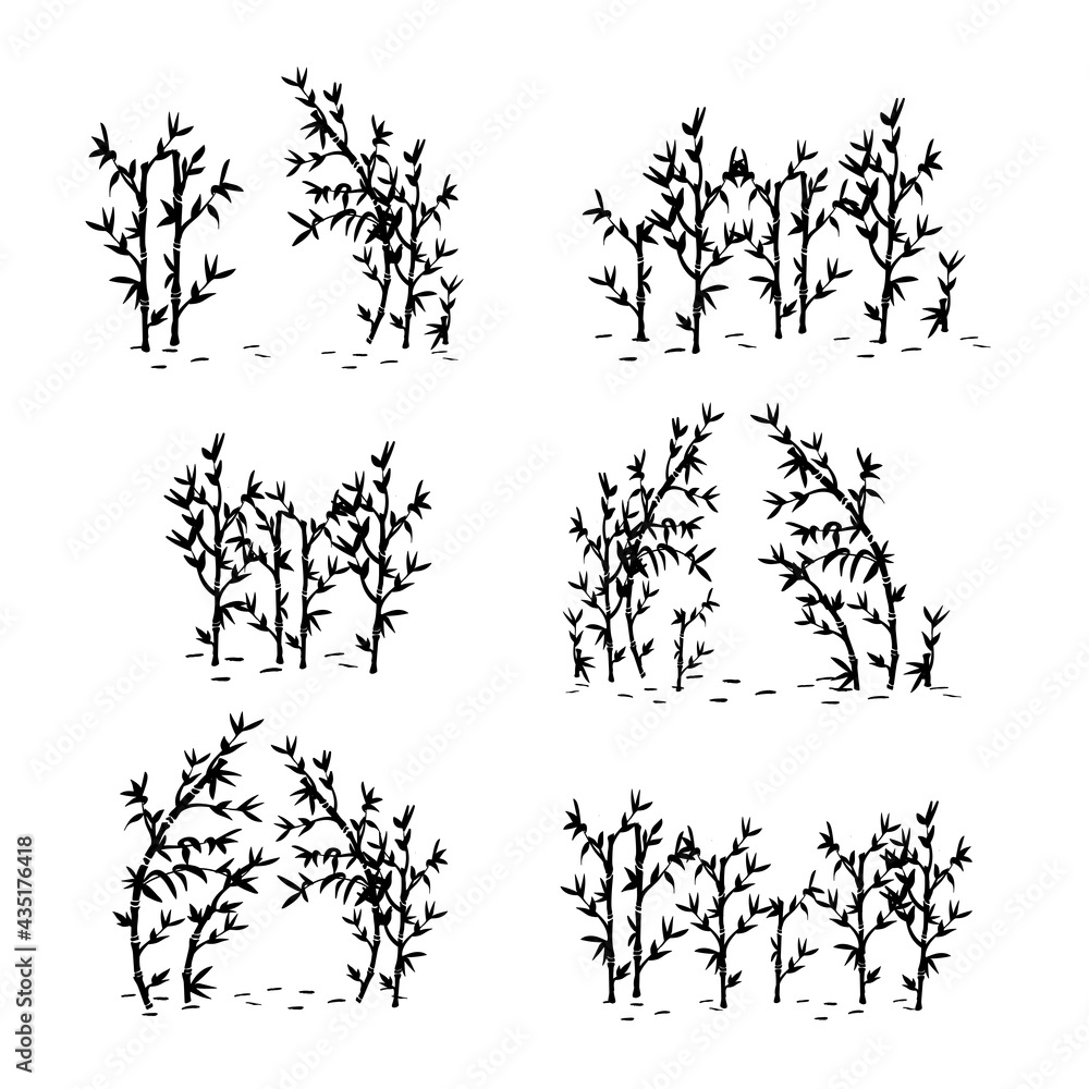 vector bamboo grove silhouette. bamboo set hand drawing. sketch. vector