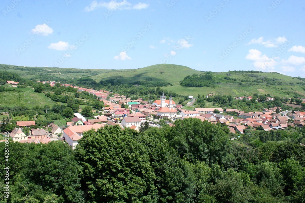 medieval town surrounded by forest, view from the drone