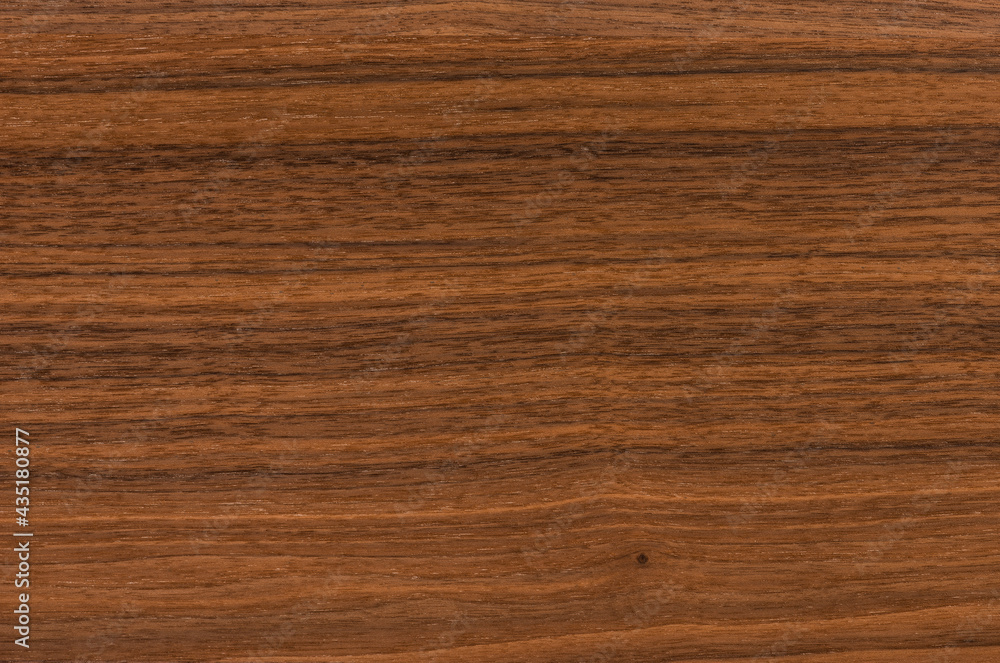 custom made wallpaper toronto digitalbackground of Walnut wood surface