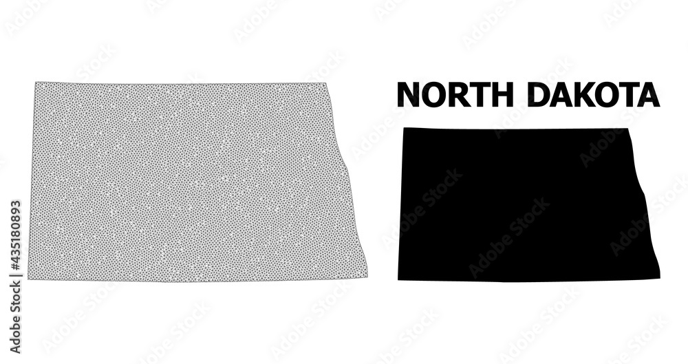 Polygonal mesh map of North Dakota State in high resolution. Mesh lines ...