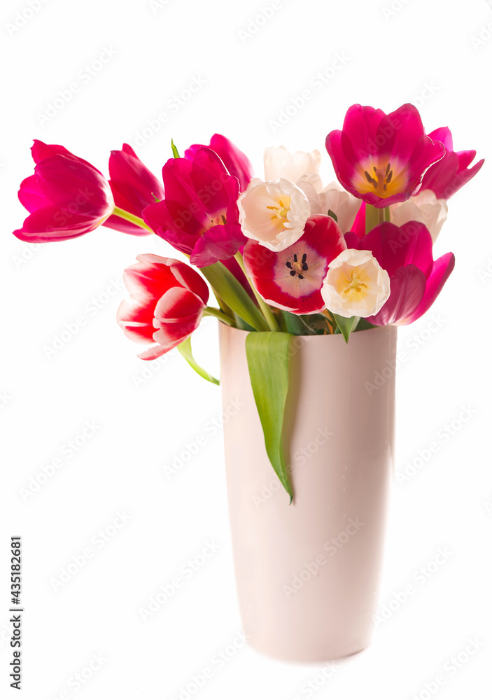 Many beautiful tulips with leaves in a glass vase isolated on transparent background. Horizontal photo with fresh spring flowers for any festive design Many beautiful tulips with leaves in a glass vase isolated on transparent background. Horizontal photo with fresh spring flowers for any festive design