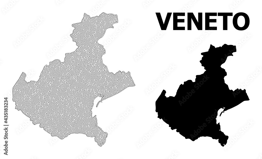 Polygonal mesh map of Veneto region in high detail resolution. Mesh lines, triangles and points form map of Veneto region.