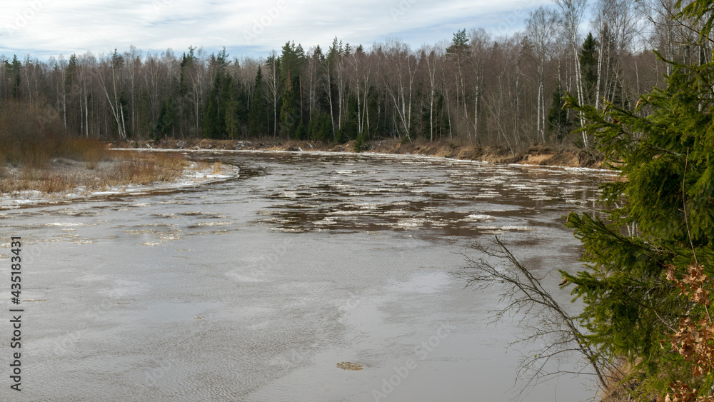 the river in early spring, ice cubes in the water, river bank from the opposite bank, river Gauja near Cesim, Latvia the river in early spring, ice cubes in the water, river bank from the opposite bank, river Gauja near Cesim, Latvia