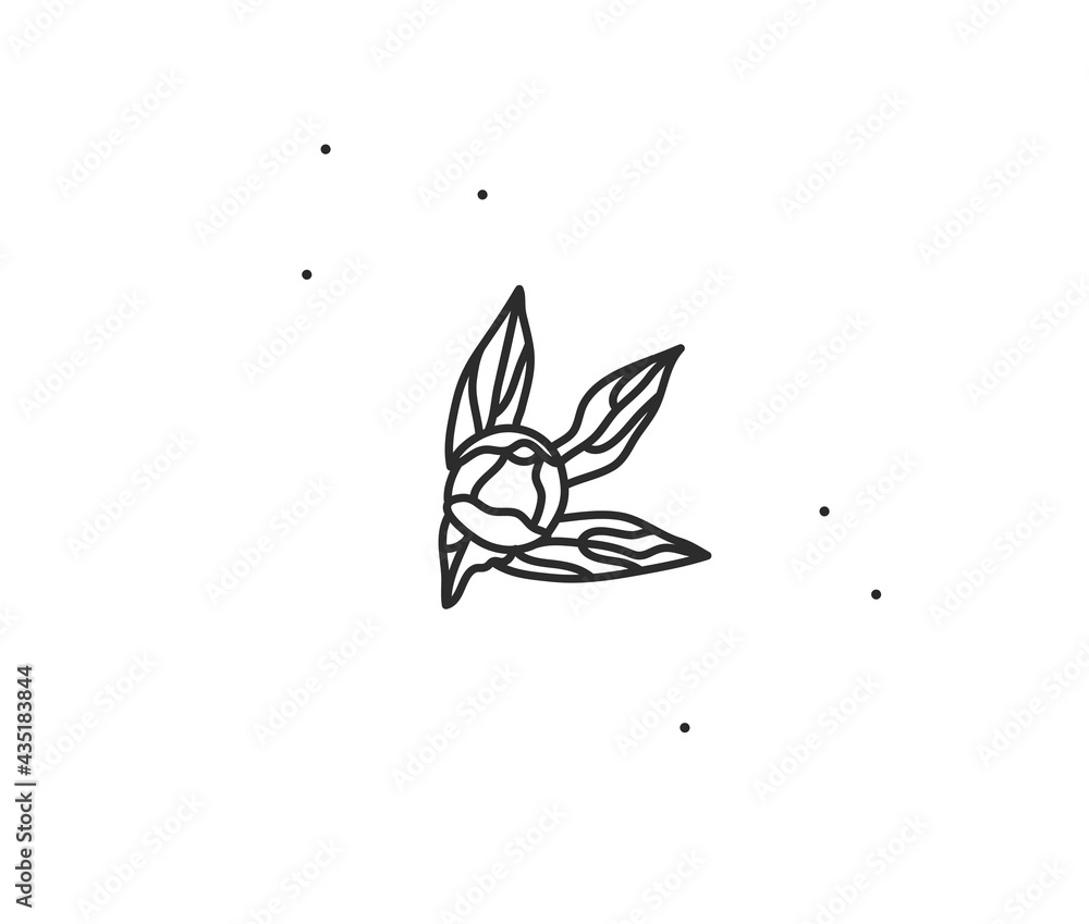 Hand drawn vector abstract stock flat graphic illustration with logo element of line flower art of peony in simple style for branding,isolated on white background.Sacred magic boho feminine concept