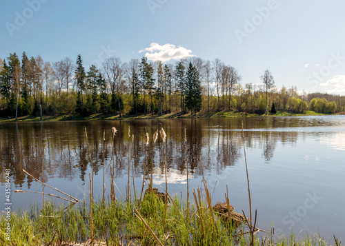 landscape with a lake, calm water surface with trees and sky reflections, the first greenery on the lake shore