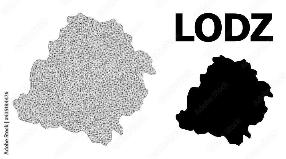 Fototapeta premium Polygonal mesh map of Lodz Province in high detail resolution. Mesh lines, triangles and points form map of Lodz Province.