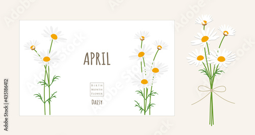 誕生月の花のイラスト｜4月の誕生花、デイジー