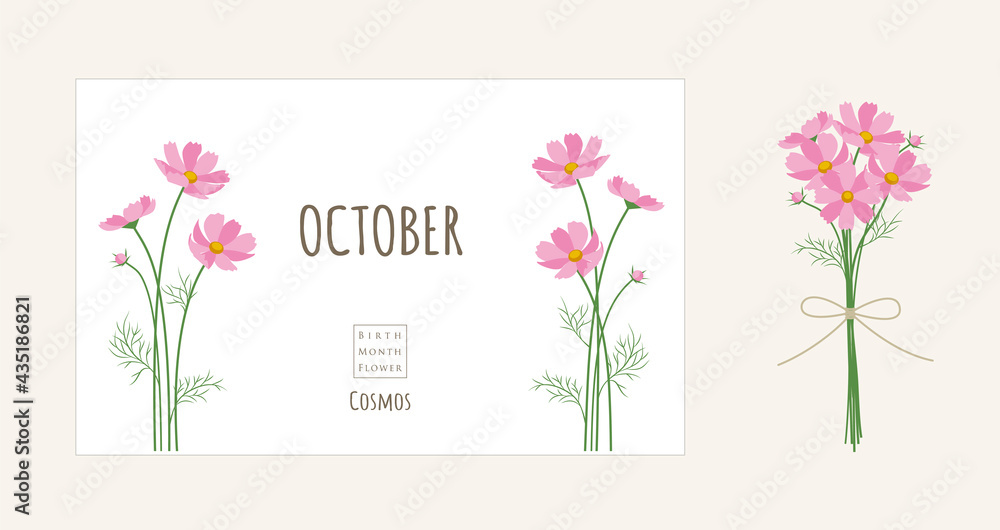 誕生月の花のイラスト 10月の誕生花 コスモス Stock Vector Adobe Stock