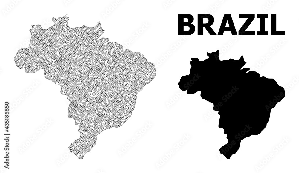 Polygonal mesh map of Brazil in high detail resolution. Mesh lines, triangles and points form map of Brazil.