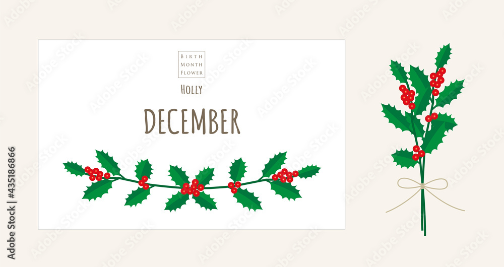 誕生月の花のイラスト 12月の誕生花 ヒイラギ Stock Vector Adobe Stock