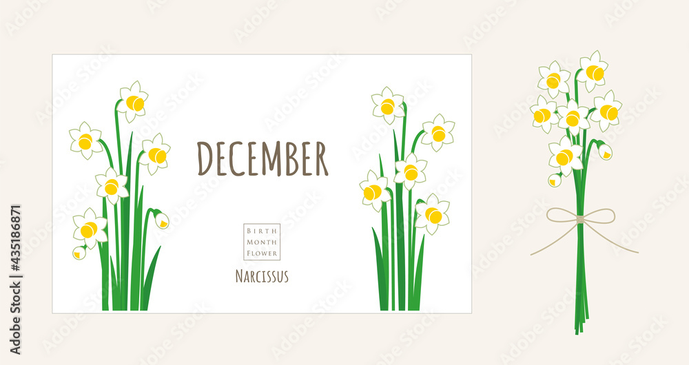 誕生月の花のイラスト 12月の誕生花 ナルシス Stock Vector Adobe Stock