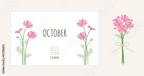 誕生月の花のイラスト｜10月の誕生花、コスモス
