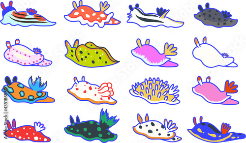 いろいろな種類のウミウシのセット