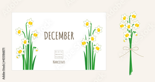 誕生月の花のイラスト｜12月の誕生花、ナルシス