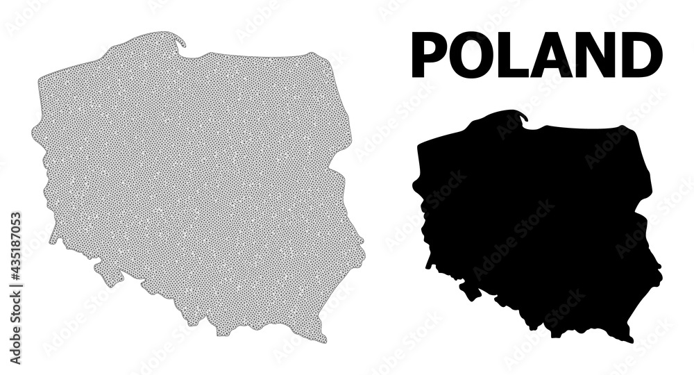 Obraz premium Polygonal mesh map of Poland in high detail resolution. Mesh lines, triangles and points form map of Poland.