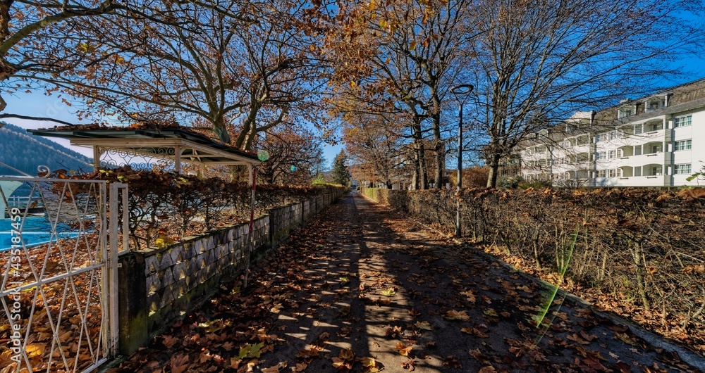 autumn in the alley at late autumn autumn in the alley at late autumn