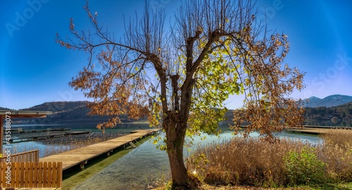 autumn scenery at the lake