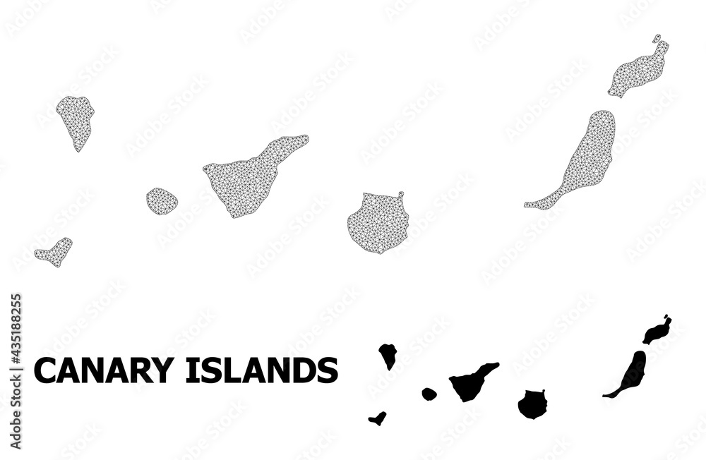 Polygonal mesh map of Canary Islands in high detail resolution. Mesh lines, triangles and dots form map of Canary Islands.