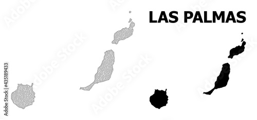 Polygonal mesh map of Las Palmas Province in high detail resolution. Mesh lines, triangles and points form map of Las Palmas Province.